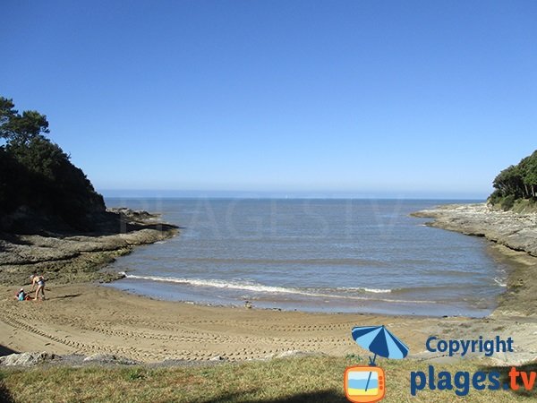 Photo of Conseil beach in Vaux sur Mer in France