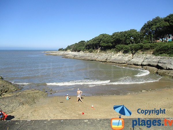 Baignade sur la plage du Conseil - Vaux sur Mer