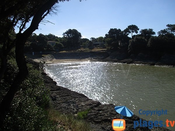 Environnement de la plage du Conseil à Vaux sur Mer