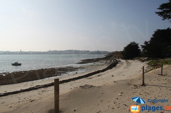 Littoral beach of Perharidi - Roscoff