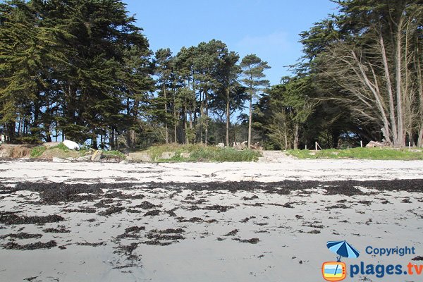 Shade beach in Roscoff - Perharidi