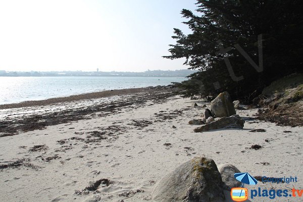 Plage avec du sable fin à Roscoff