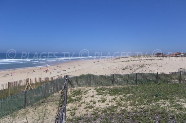 Dunes and beaches of Contis in France