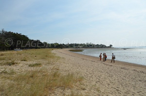 Photo of Coquillages beach - Aix island