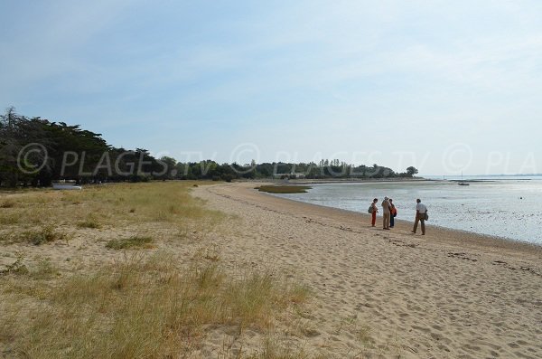 Plage aux coquillages direction la pointe de Coudepont