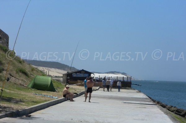 Path to the beach of the Dune of Pilat