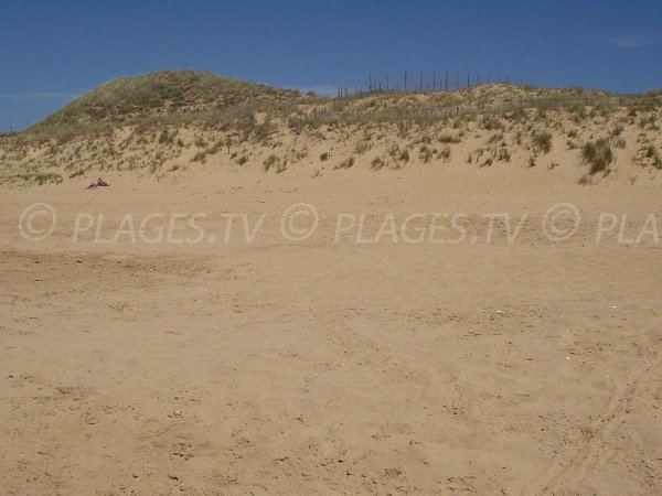 Dunes sur la plage du Corps de Garde à La Tranche