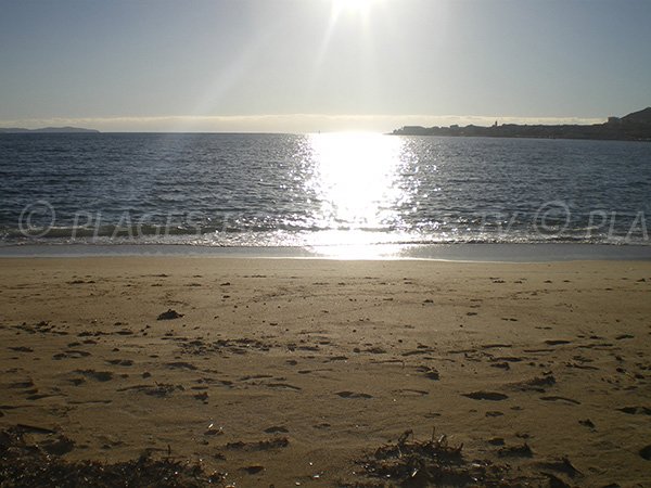 Foto spiaggia del Lazaret - Ajaccio