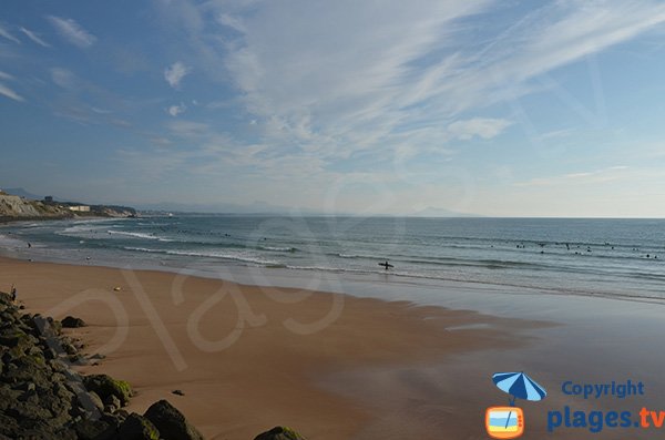 Plage des Basques à Biarritz à marée basse