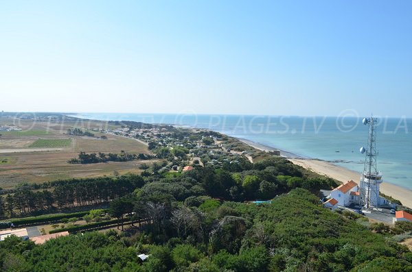 Côte Sauvage beach - Re Island