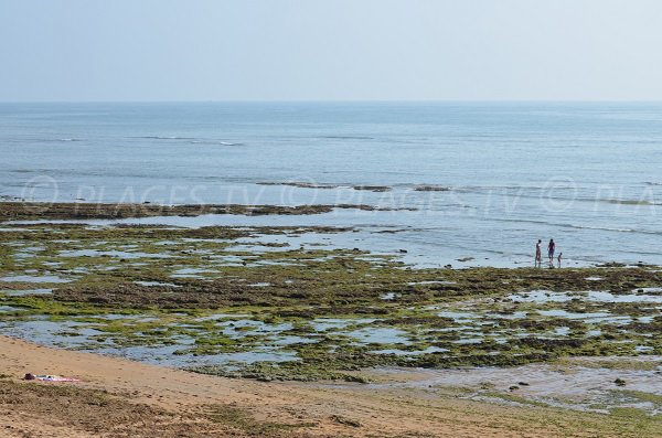 Pêche à pied au nord d'Oléron