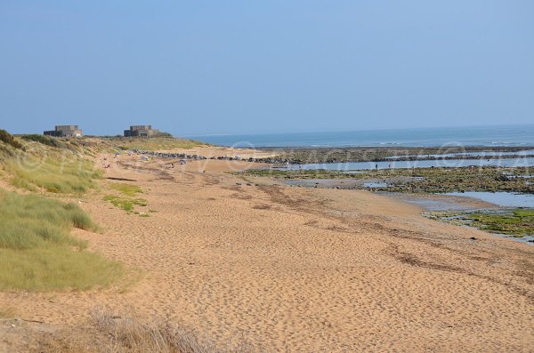 Photo de la plage de la Cotinière à Oléron