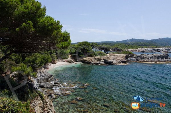 Coucoussa beach in Embiez island - France