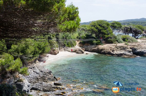 Plage sur l'ile des Embiez avec de l'ombre - Coucoussa