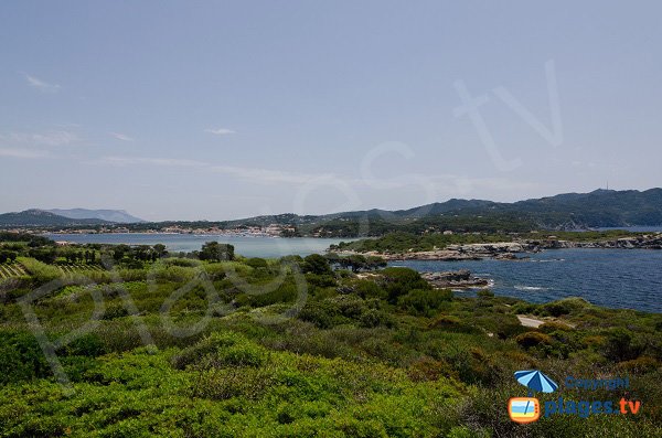 Environnement de l'ile des Embiez sur la pointe sud