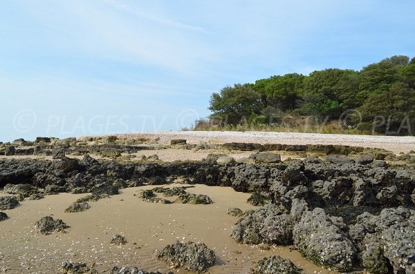 Rock on the tip of the Coudepont - Aix island