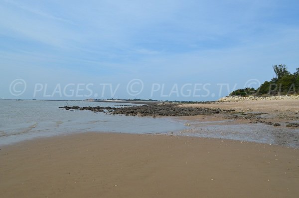 Mer et banc de sable à l'est de l'île d'Aix