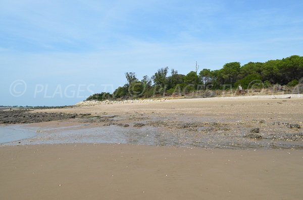 Partie la plus à l'est de l'île d'Aix