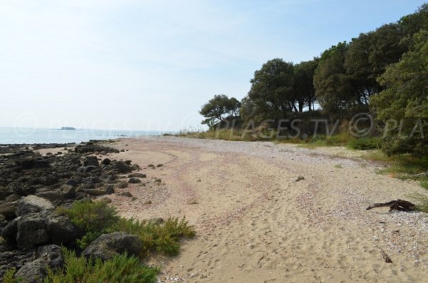 Plage de Coudepont sur l'île d'Aix