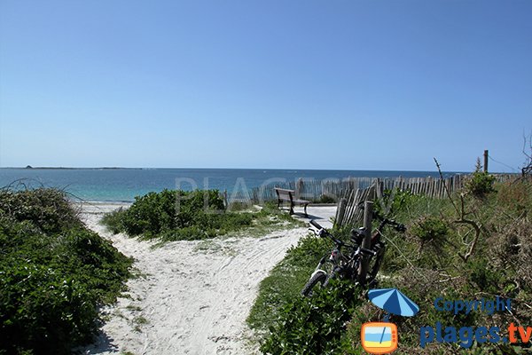 Végétation autour de la plage principale de St Pabu