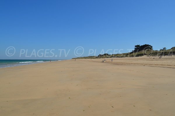 Plage de Couny en direction des Portes en Ré