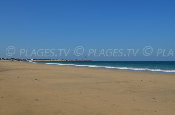 Spiaggia a St Clément les Baleines - Couny