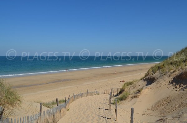 Vista della spiaggia Couny dalla duna