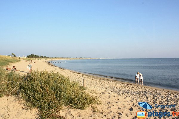 Photo of Court beach - Noirmoutier La Guérinière