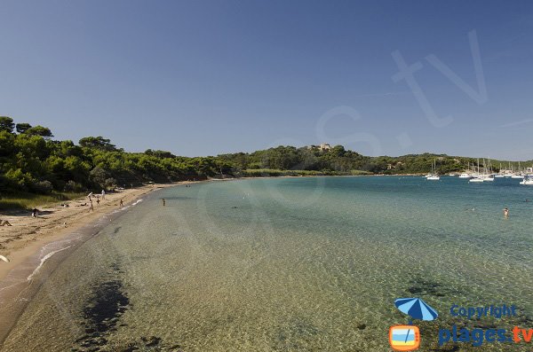 Beach near the Porquerolles harbor