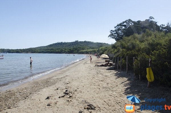 Plage sauvage à Porquerolles