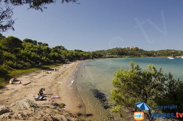 Courtade beach in Porquerolles in France