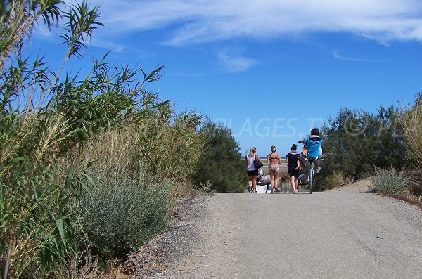 Sentier d'accès à la plage des Coussoules - Leucate