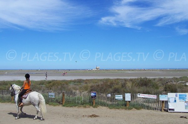 Coussoules beach in La Franqui - Leucate