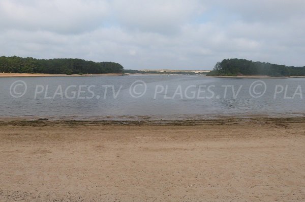 Plage à Port d'Albret - Soustons - quartier des Cousteuyers