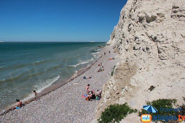 Cran d'Escalles vue vers le nord