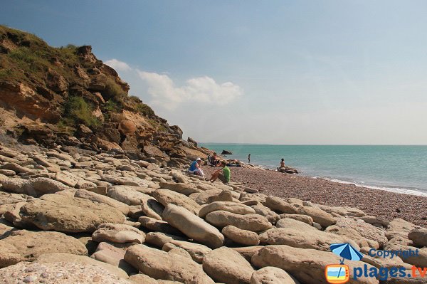 Wild creek on the Opal Coast - Cran au Poulet