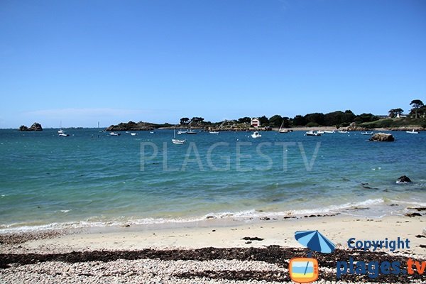 Haut de la plage de Crec'h Touric à Bréhat