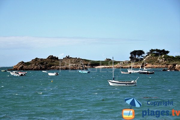 Crique vers la pointe de Rosédo sur l'ile de Bréhat