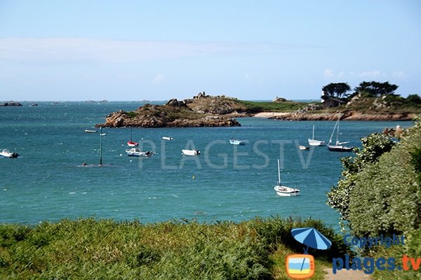 Anse de la Corderie à Bréhat - Bretagne