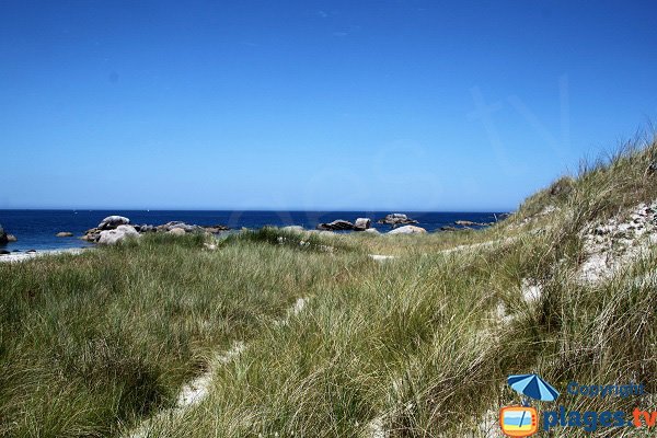 Dune on Crémiou beach in Kerlouan