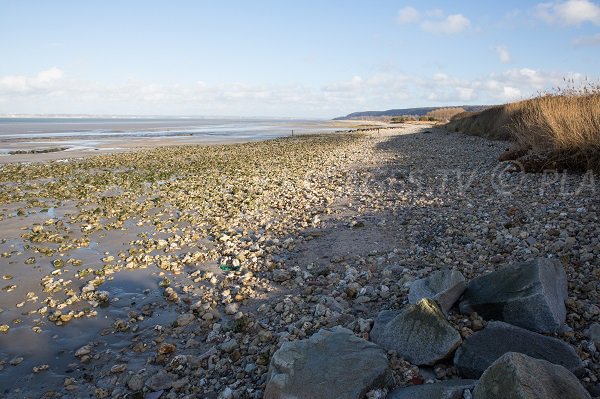 Photo de la plage de Cricqueboeuf en Normandie