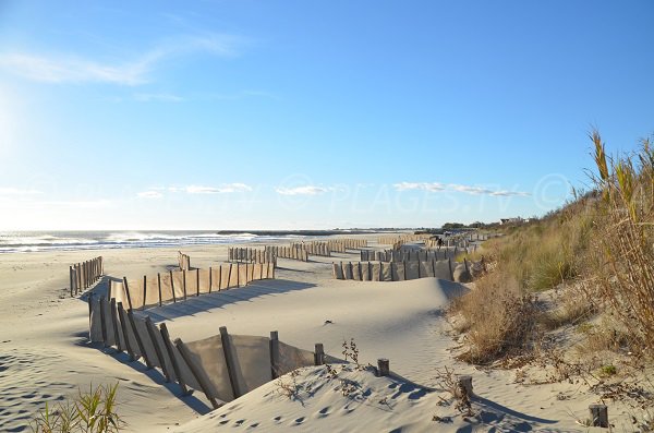 Dune on the beach of Saintes Maries de la Mer