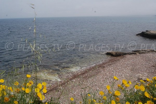 Pebble beach in Saint-Florent - Corsica