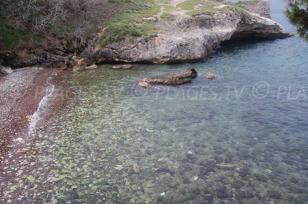 Fonds marins de la plage de la Crique à St Florent en Corse