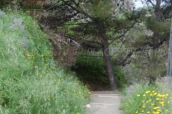 Sentieri attraverso il bosco - St Florent