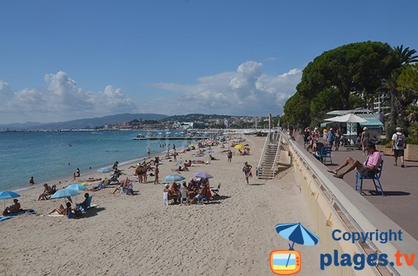 Plage privée au niveau du Martinez à Cannes