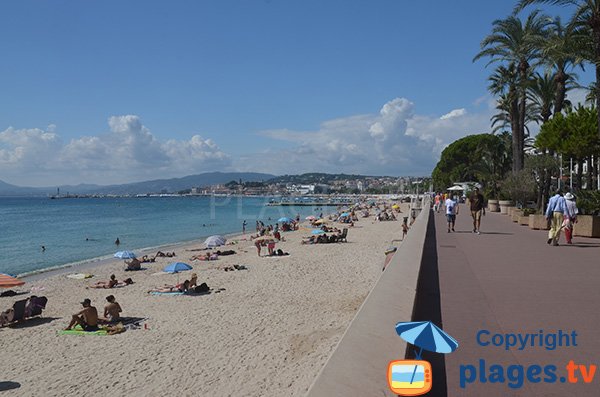 Promenade near the Croisette beach in Cannes