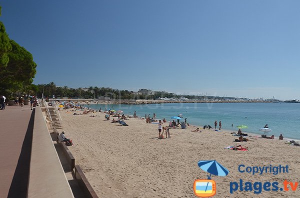 Photo de la plage de la Croisette - Zone gratuite - Cannes