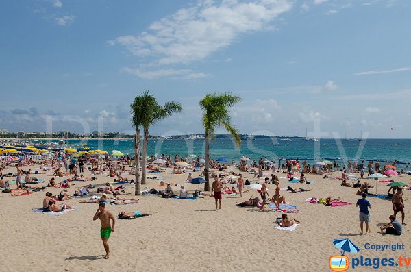 Photo of the Cannes beach in summer