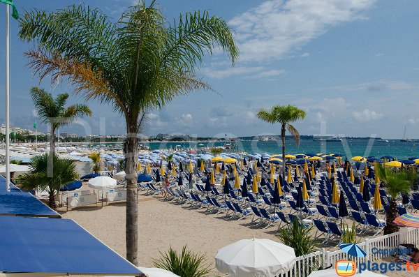 Plage privée sur la Croisette